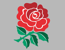 Sportesse england rugby